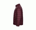 JG300U.CHAQUETA ACOLCHADA LIGERA UNIS WINE S