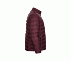 JG300U.CHAQUETA ACOLCHADA LIGERA UNIS WINE S
