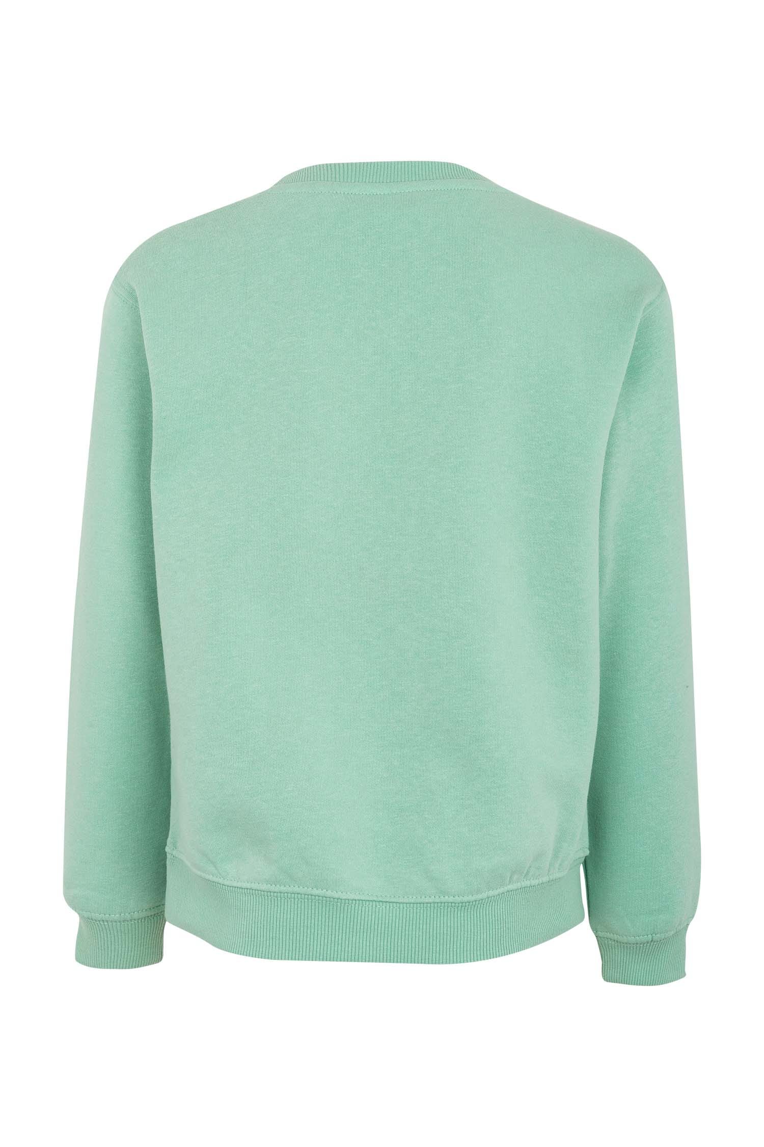 SC270K.SUDADERA CUELLO REDONDO KIDS SAGE 1/2