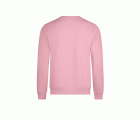 SCN300U.SUDADERA CUELLO REDONDO OCS UN FLAMINGO S