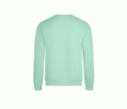 SCN300U.SUDADERA CUELLO REDONDO OCS UN AQUA S