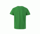 TS150UC.CAMISETA MANGA CORTA 150 KELLY GREEN 2XL