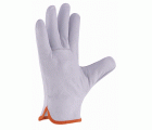 Guante WINTER