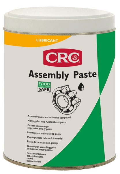 ASSEMBLY PASTE FPS 500 GRS