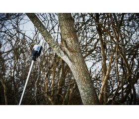 DUA300Z Sierra de cadena en altura LXT®