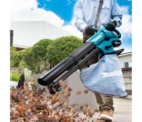 DUB187Z Soplador LXT®