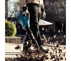 DUB362Z Soplador LXT®