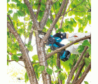 DUC101Z Sierra de poda LXT®