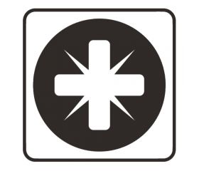 P-06111 Punta, PZ2, 25 mm, 10 pcs