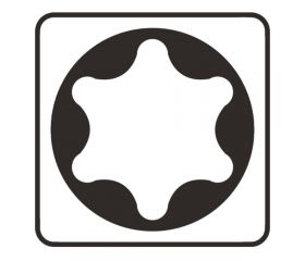 P-06323 Punta, T10, 25 mm 10 pcs