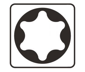 P-06339 Punta, T15, 25mm, 10 pcs