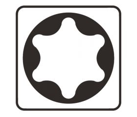 P-06345 Punta, T20, 25 mm, 10 pcs