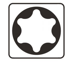 P-06351 Punta, T25, 25 mm, 10 pcs