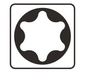 P-06373 Punta, T30, 25 mm, 10 pcs