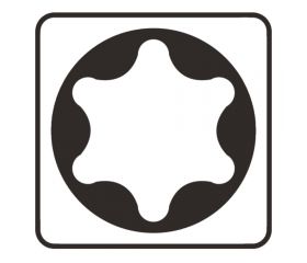 P-06389 Punta, T40, 25 mm, 10 pcs