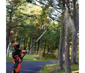 UA004GZ Sierra de cadena en altura telescópica XGT®