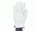 GUANTE 160IFF