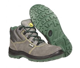 Bota