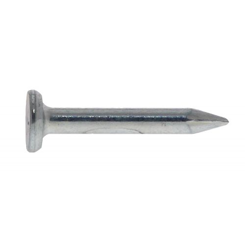 CG6