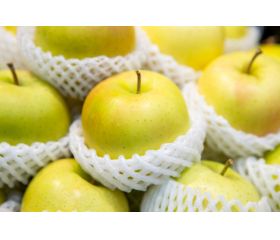 Malla tubular de espuma