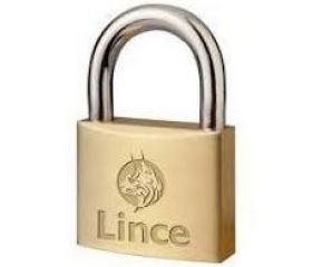 CANDADO LATON A/N 300 20mm LINCE