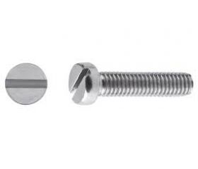 TORNILLO DIN 84 M2,5X10 CINC