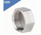 TAPON HEMBRA HEX.INOX 1"