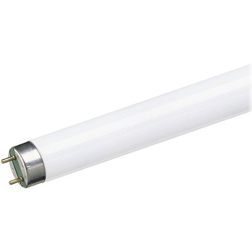 TUBO FLUORESCENTE T8 18W 6400K
