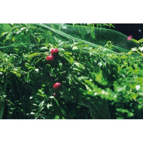 MALLA ANTIPAJARO 2X10M VERDE