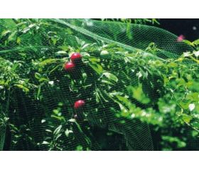 MALLA ANTIPAJARO 2X10M VERDE
