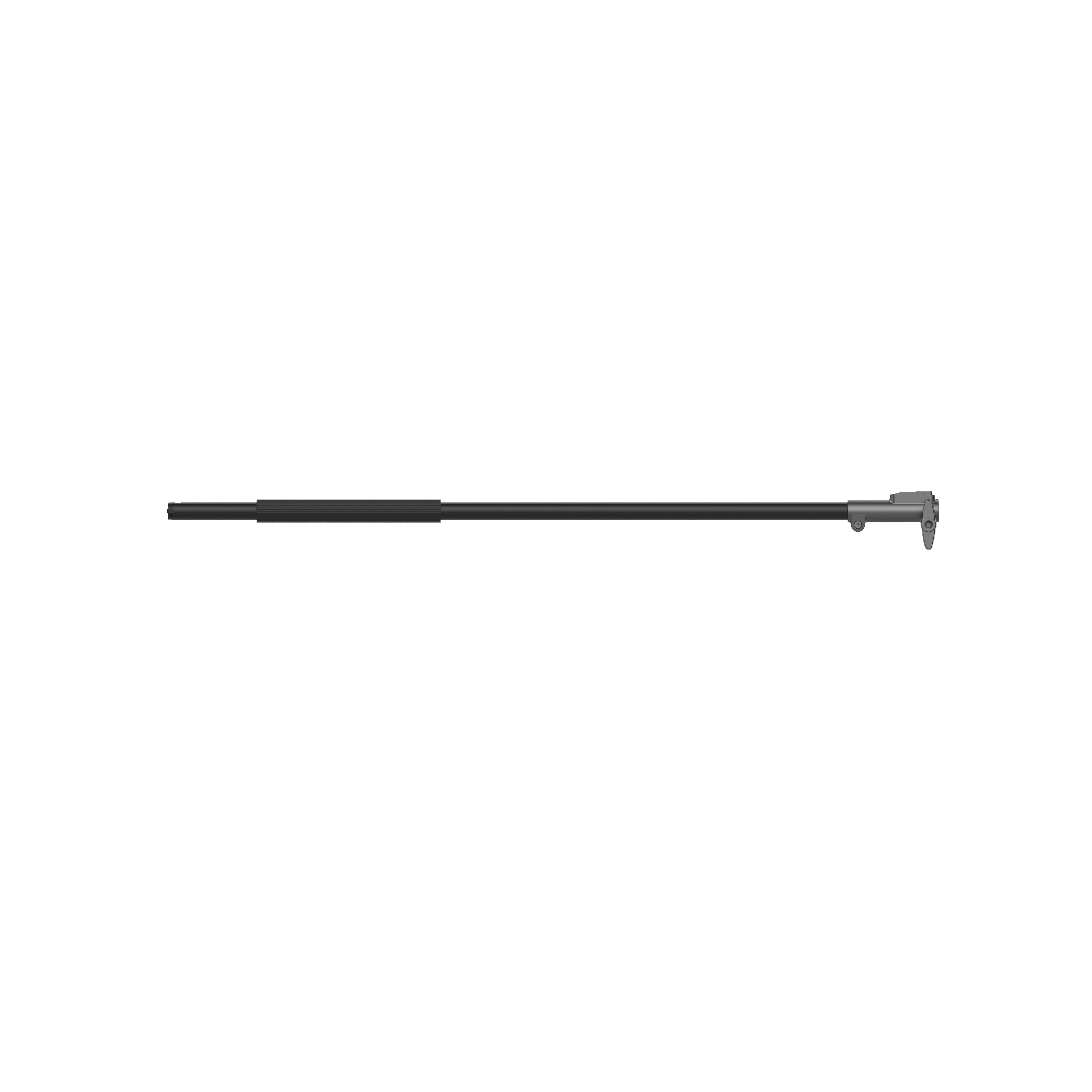 Pértiga extensible