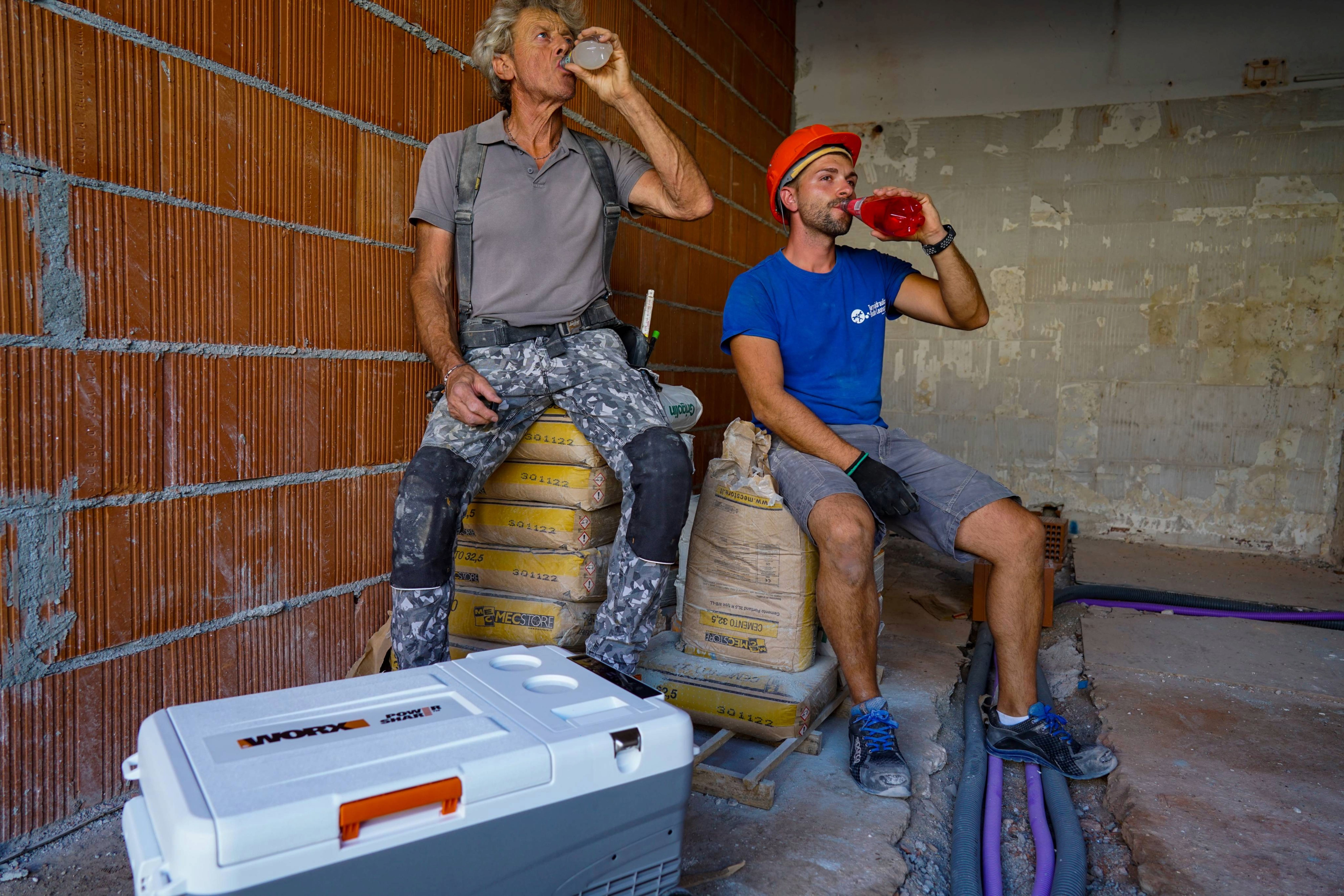 Worx WX876.9 - Nevera portátil 20V (S/bat)