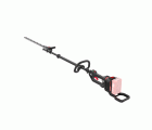 Cortasetos 55 cm con pértiga eje corto 145º (Sin batería, ni cargador)
