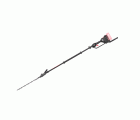 Cortasetos 55 cm con pértiga eje largo 145º (Sin batería, ni cargador)