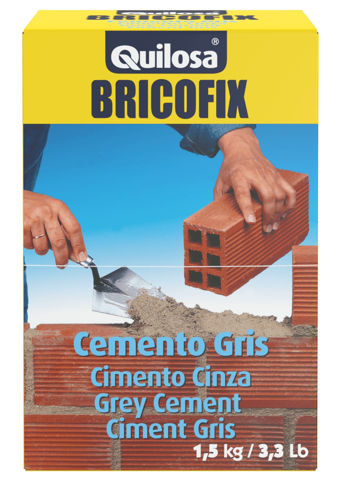 BRICOFIX Cemento