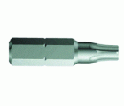 PUNTA TORX 1/4