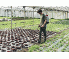 Bota de trabajo AGRO O2 / FTW01B