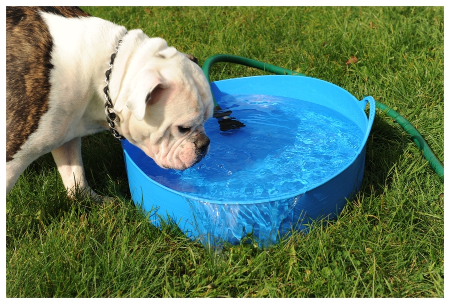 Cubo flexible plano 35 litros SP35BL