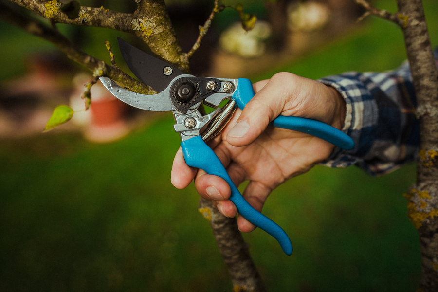 Tijera de poda aluminio ergonómica 42R