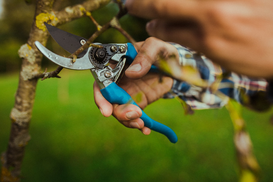 Tijera de poda aluminio ergonómica 42R