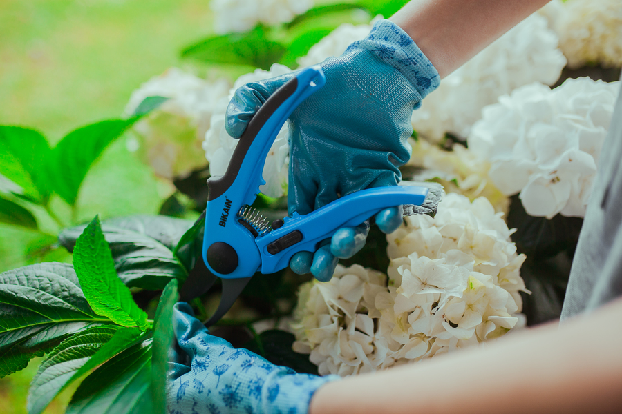 Tijera de poda mangos de fibra ergonómicos. 43R
