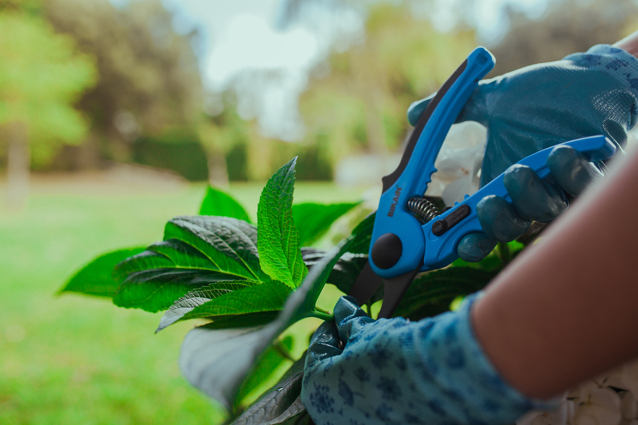 Tijera de poda mangos de fibra ergonómicos. 43R