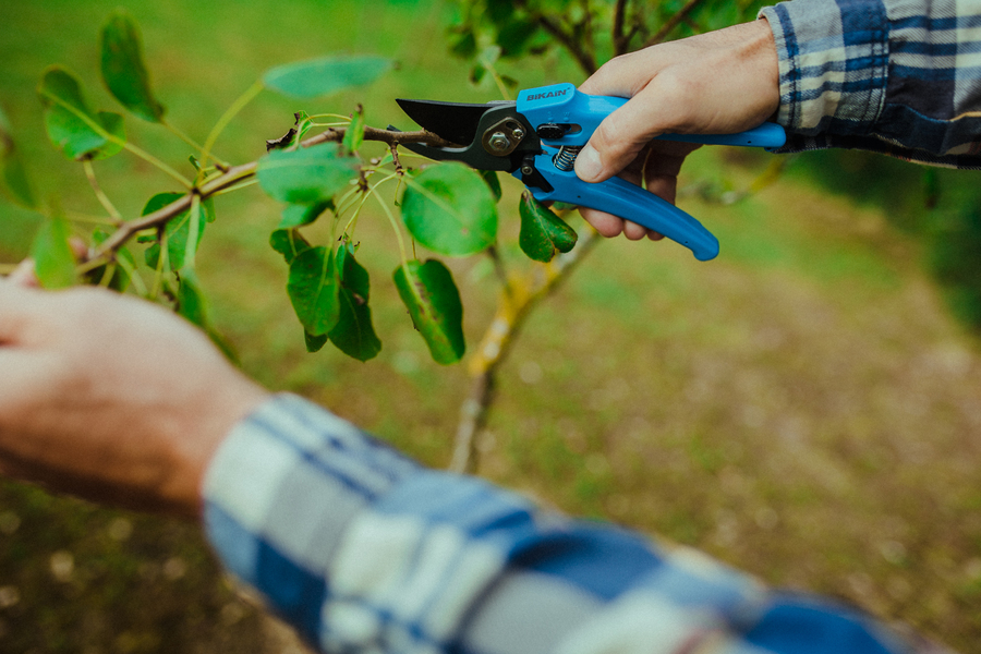 Tijera de poda ajustable en apertura 44R