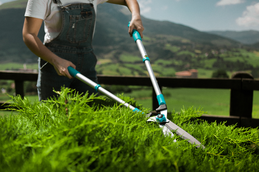 Cortasetos para jardín telescópico de aluminio 52R