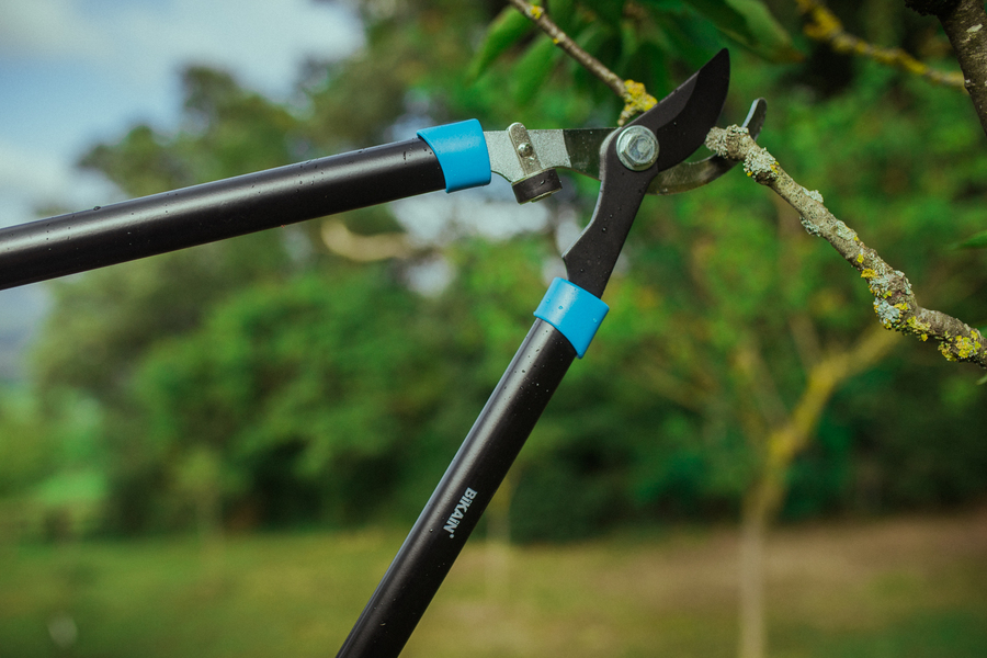 Tijera de poda de aluminio 62R
