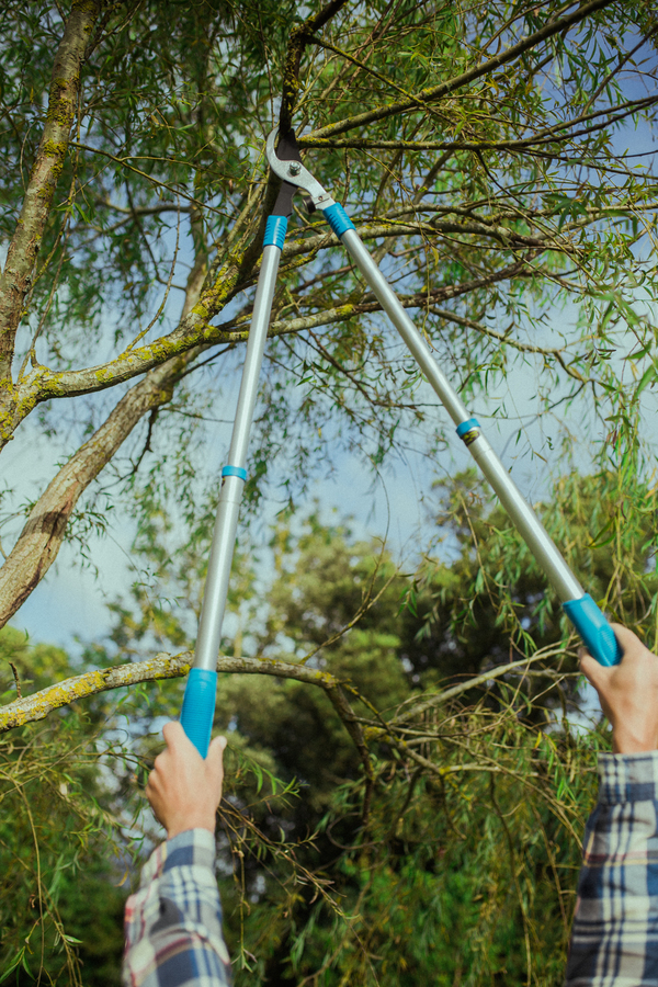 Tijera de poda telescópica de aluminio 63R