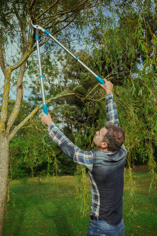 Tijera de poda telescópica de aluminio 63R