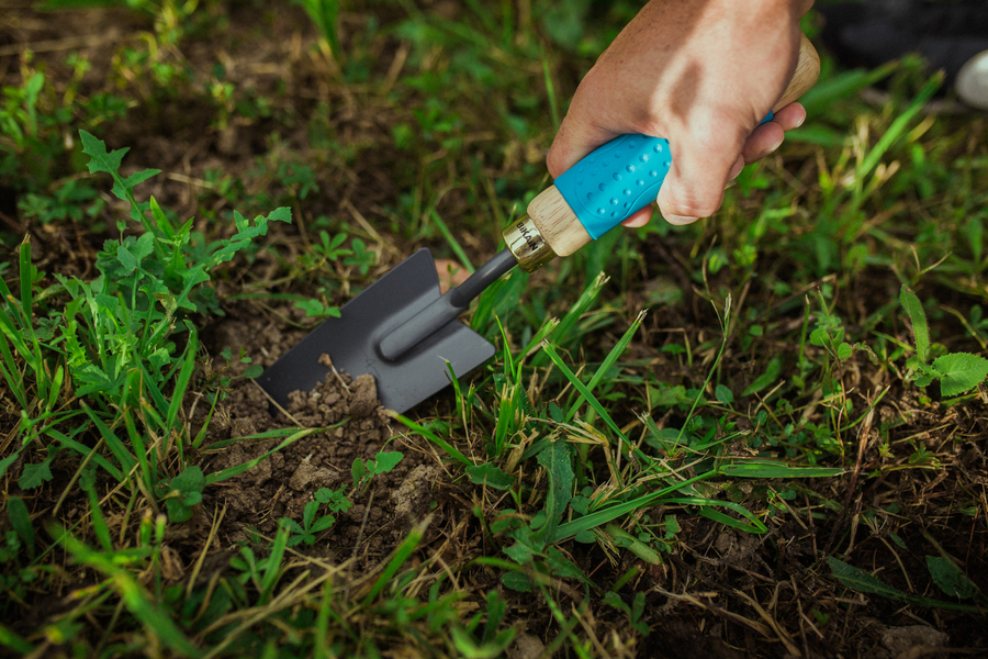 Transplantador con mango madera engomado 82R