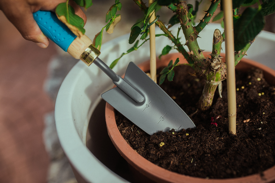 Transplantador con mango madera engomado 82R