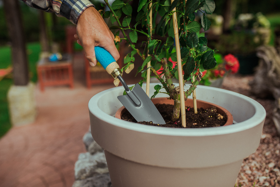 Transplantador con mango madera engomado 82R